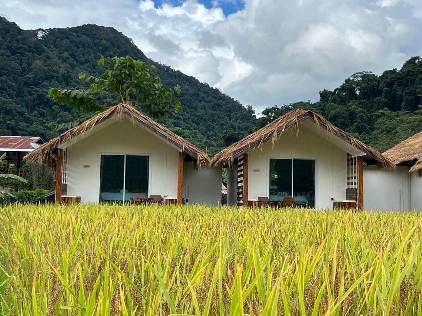 דירות Ban Huai Ti สะปันดีวิว Sapan Dee View บ่อเกลือ น่าน מראה חיצוני תמונה