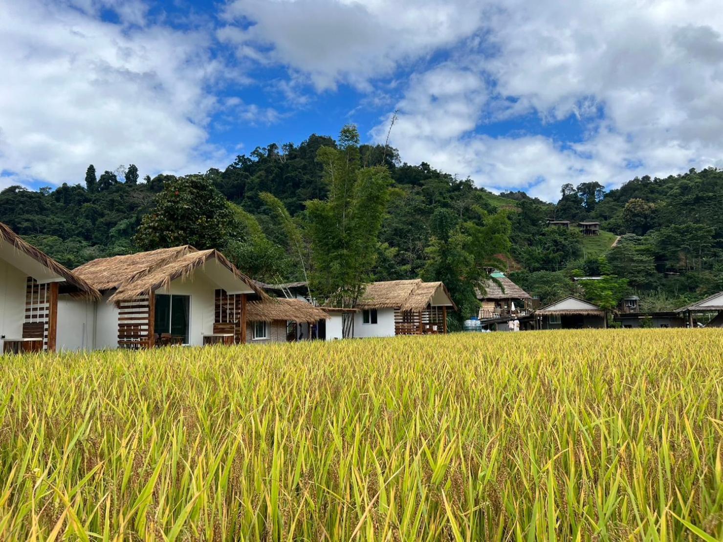דירות Ban Huai Ti สะปันดีวิว Sapan Dee View บ่อเกลือ น่าน מראה חיצוני תמונה